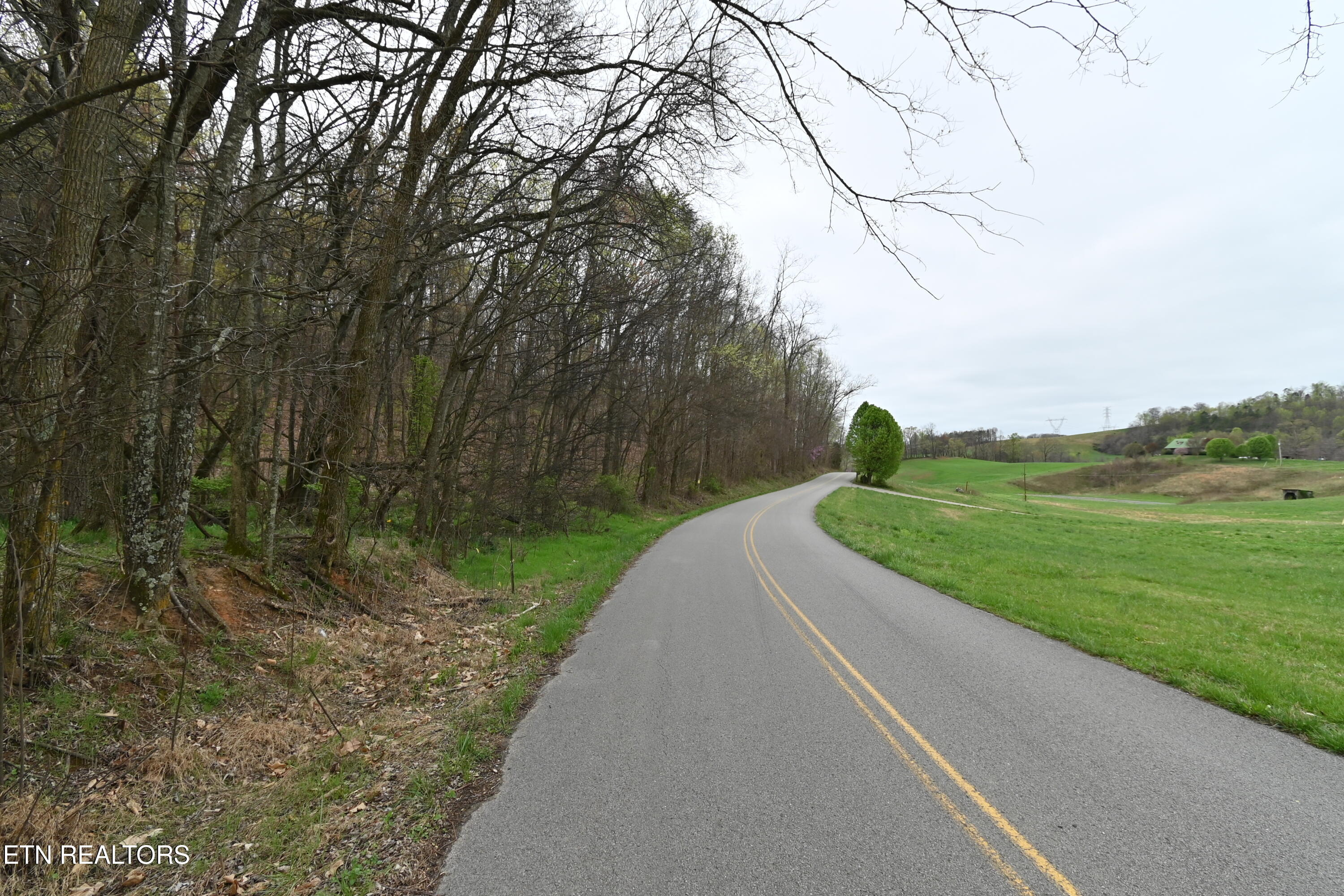 58.5-acres Greenlee Road Rutledge, TN 37861 - Photo 5 of 28 DSC_0688