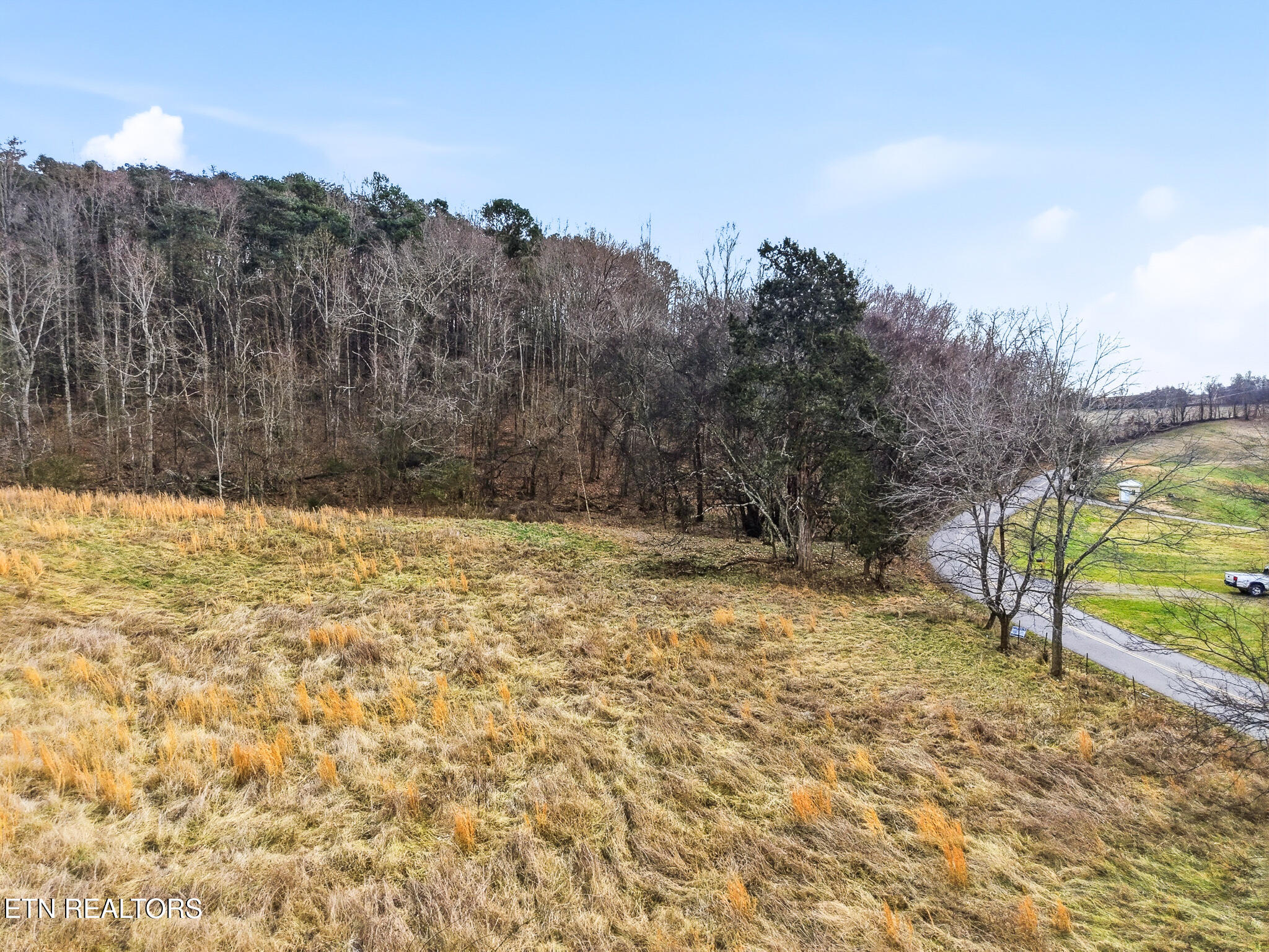 58.5-acres Greenlee Road Rutledge, TN 37861 - Photo 6 of 28 09-Greenlee Rd Rutledge, TN-16