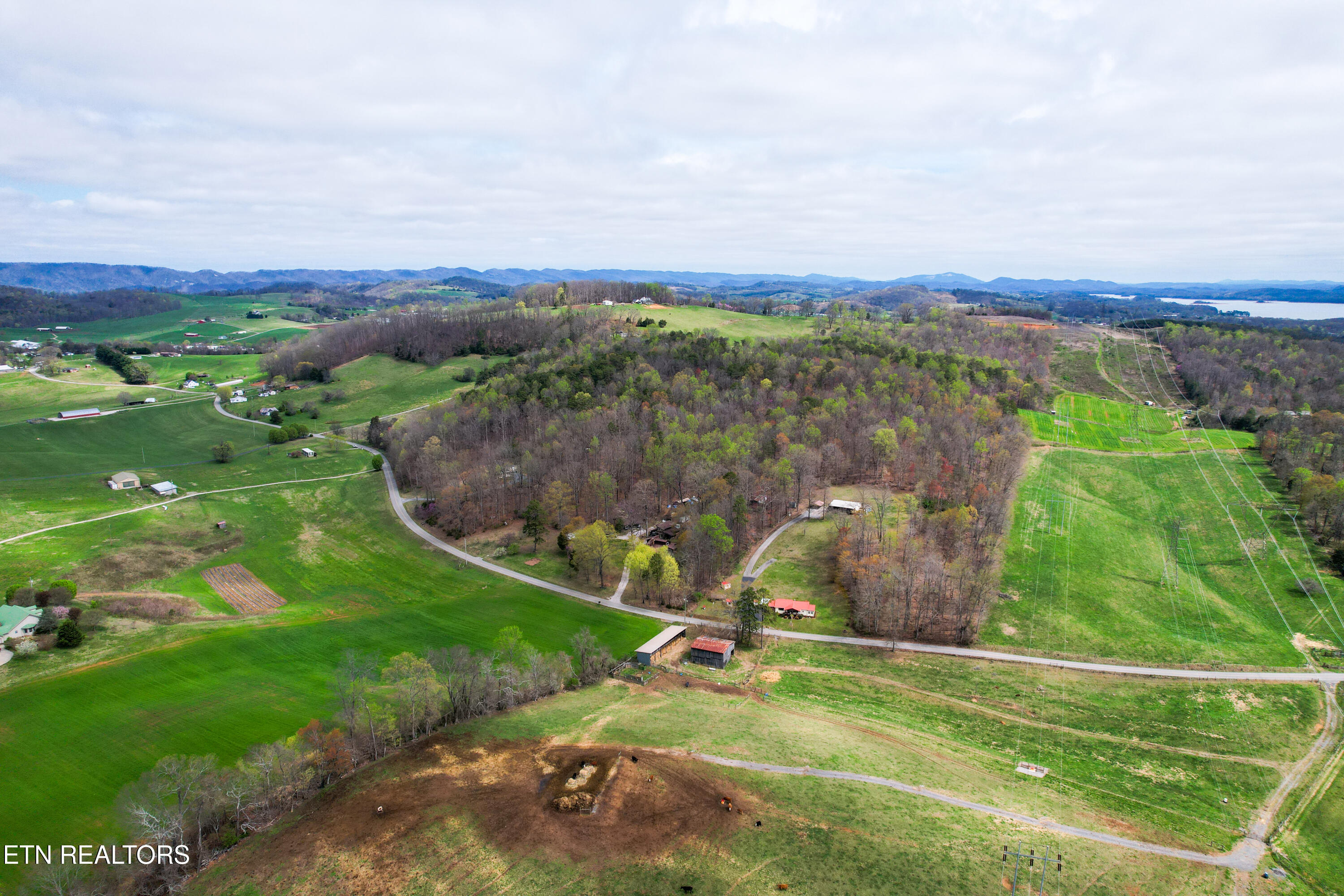 58.5-acres Greenlee Road Rutledge, TN 37861 - Photo 8 of 8 2bd368ad10c046ffa8fd50971c98fb70-DJI_058