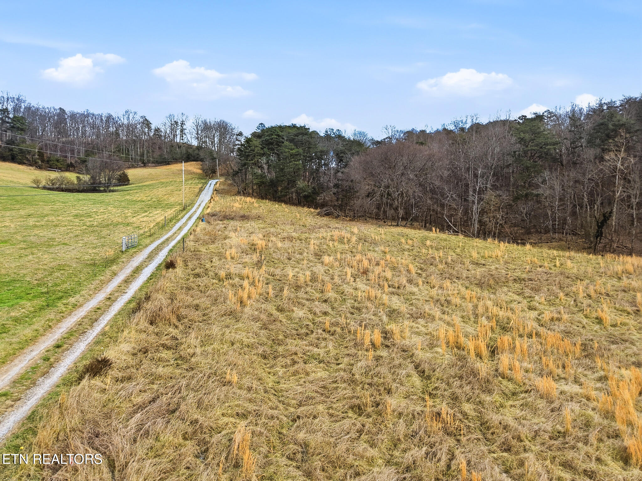 58.5-acres Greenlee Road Rutledge, TN 37861 - Photo 8 of 28 11-Greenlee Rd Rutledge, TN-15