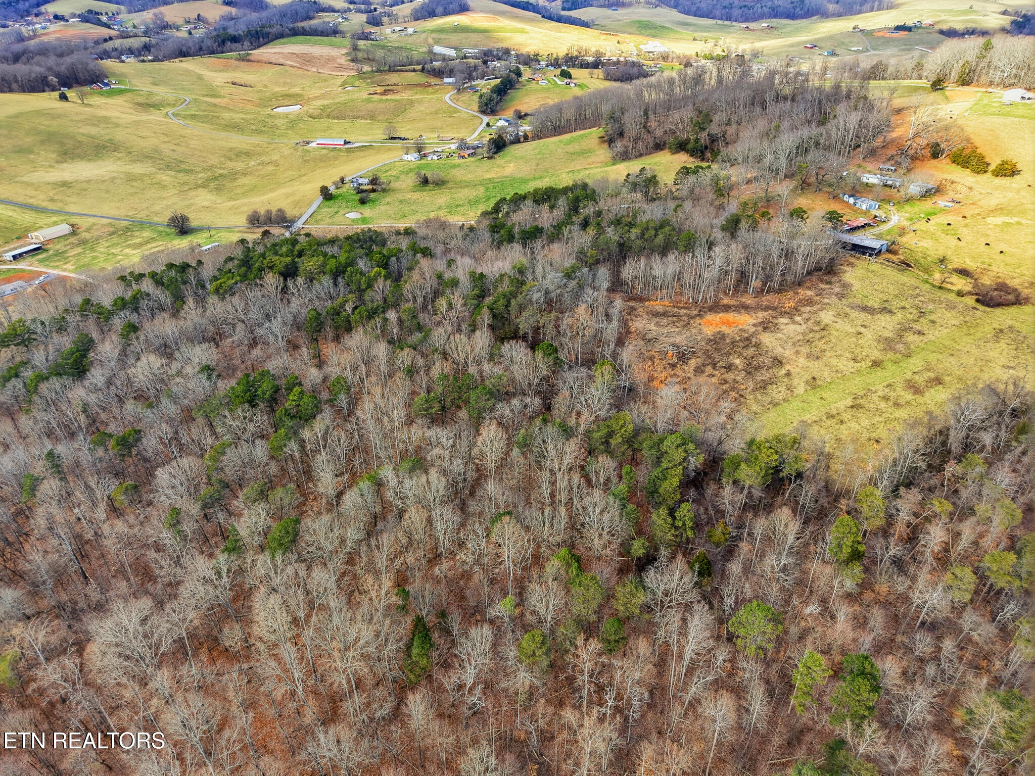 58.5-acres Greenlee Road Rutledge, TN 37861 - Photo 9 of 28 12-Greenlee Rd Rutledge, TN-14