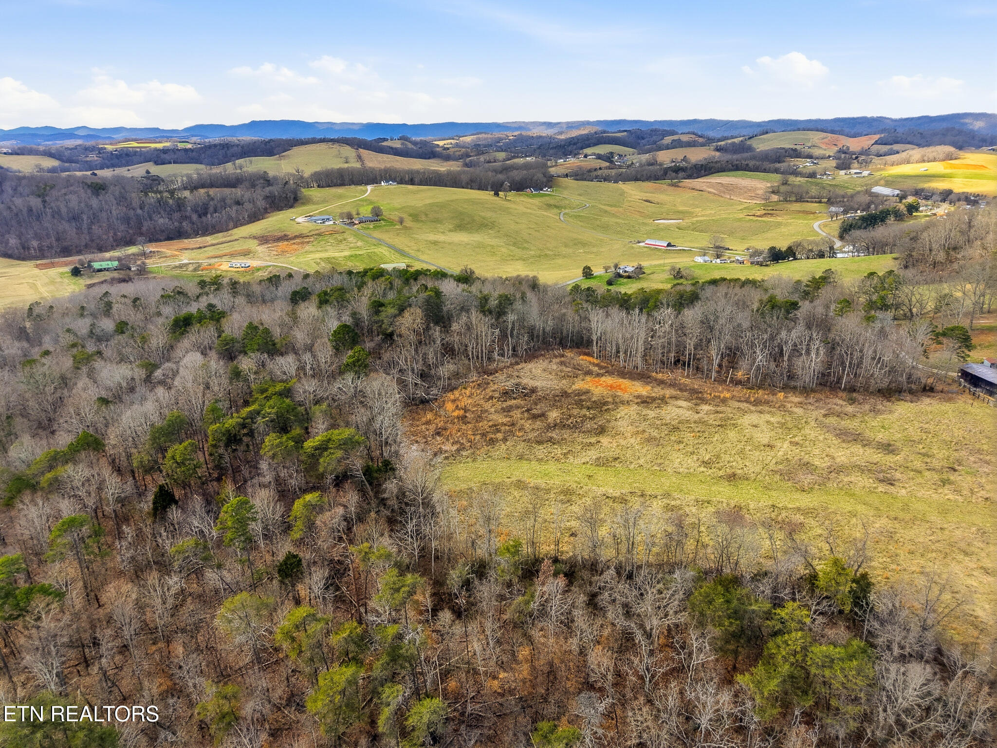 58.5-acres Greenlee Road Rutledge, TN 37861 - Photo 10 of 28 13-Greenlee Rd Rutledge, TN-13