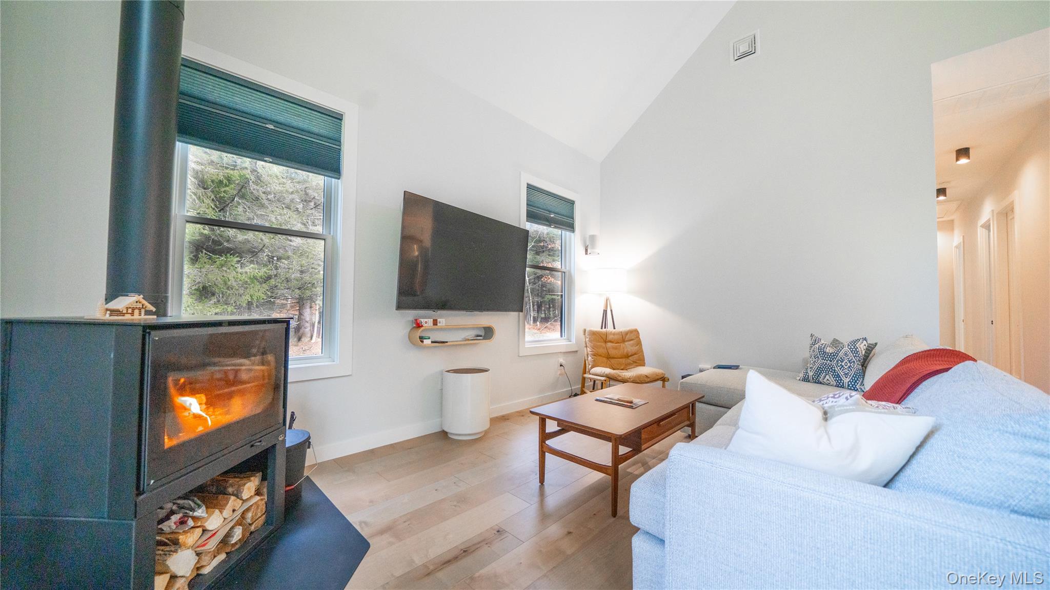 102 Rider Hollow Road Arkville, NY 12406 - Photo 7 of 17 a living room with furniture and a flat screen tv