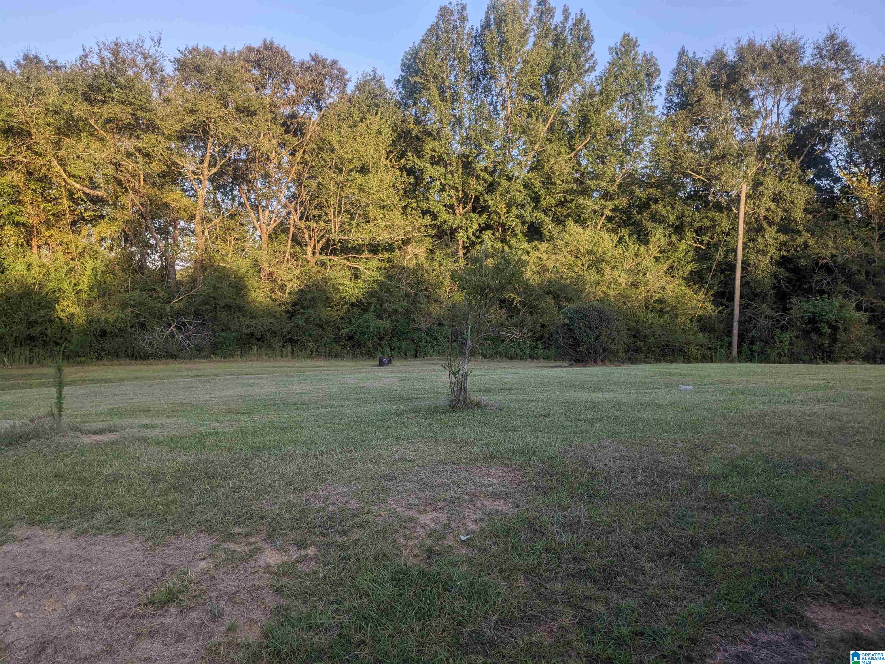 908 Antioch Road Anniston, AL 36207 - Photo 2 of 15