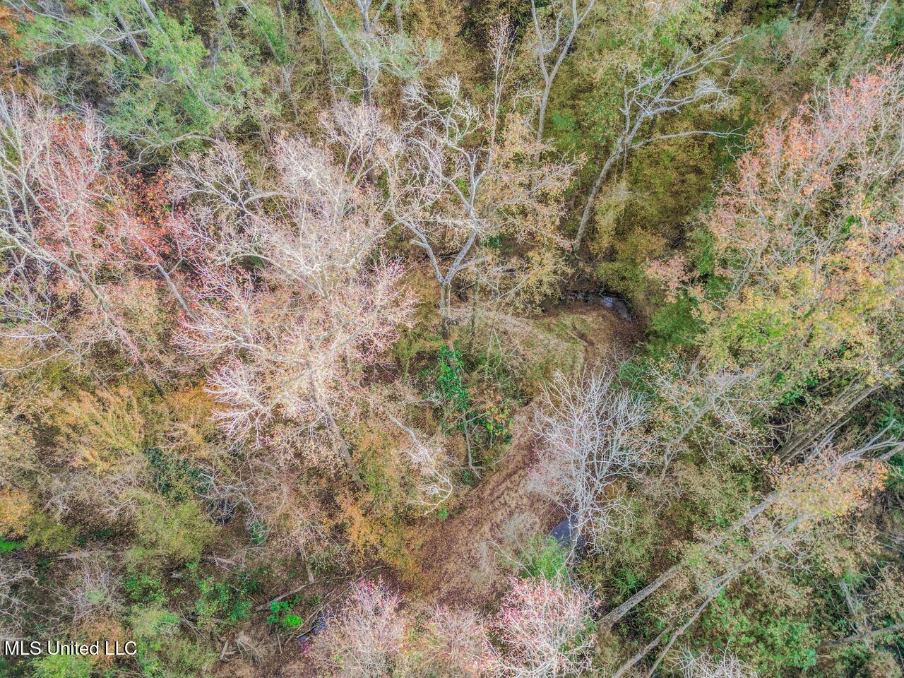 118 Turkey Creek Road Natchez, MS 39120 - Photo 12 of 41 DJI_0018 Large