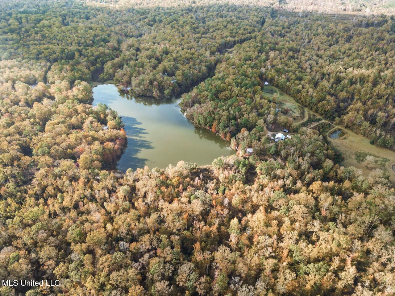 118 Turkey Creek Road Natchez, MS 39120 - Photo 2 of 41 DJI_0008 Large