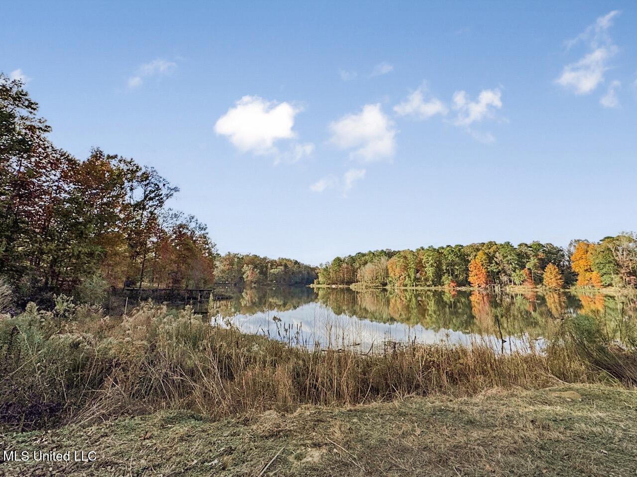 118 Turkey Creek Road Natchez, MS 39120 - Photo 34 of 41 IMG_0322 Large Large
