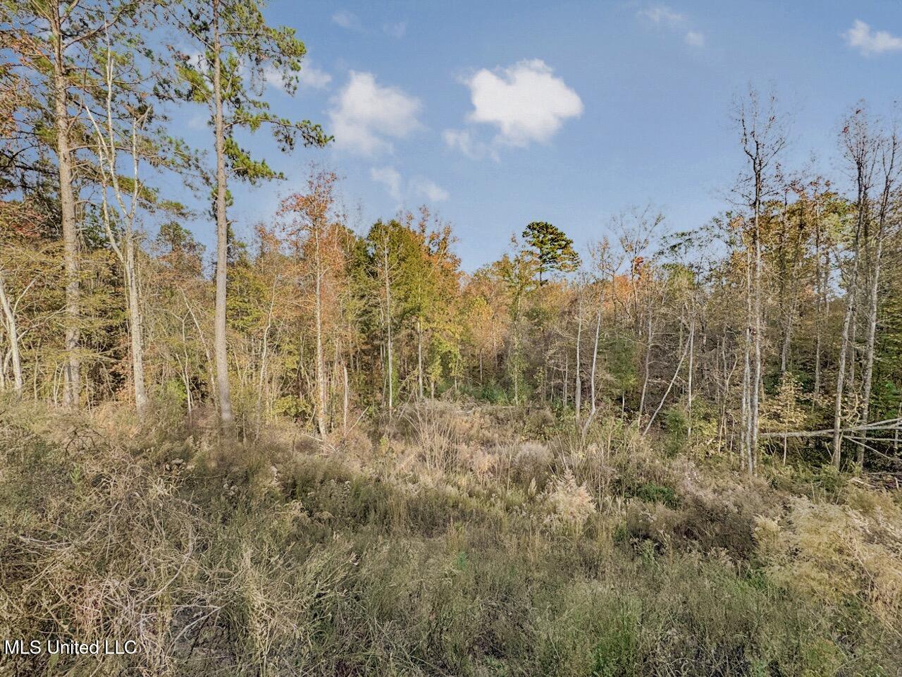 118 Turkey Creek Road Natchez, MS 39120 - Photo 35 of 41 IMG_0323 Large Large