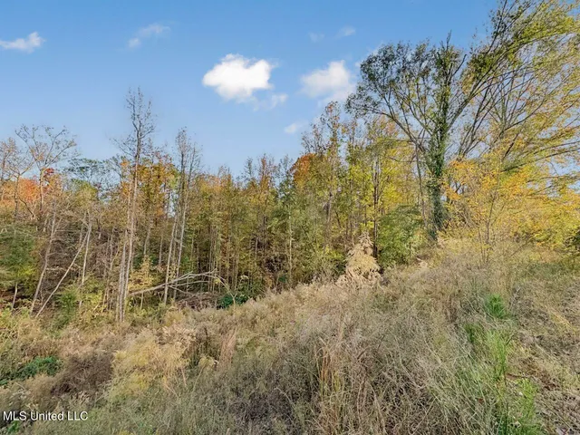 $325,000 | 118 Turkey Creek Road, Natchez, MS 39120