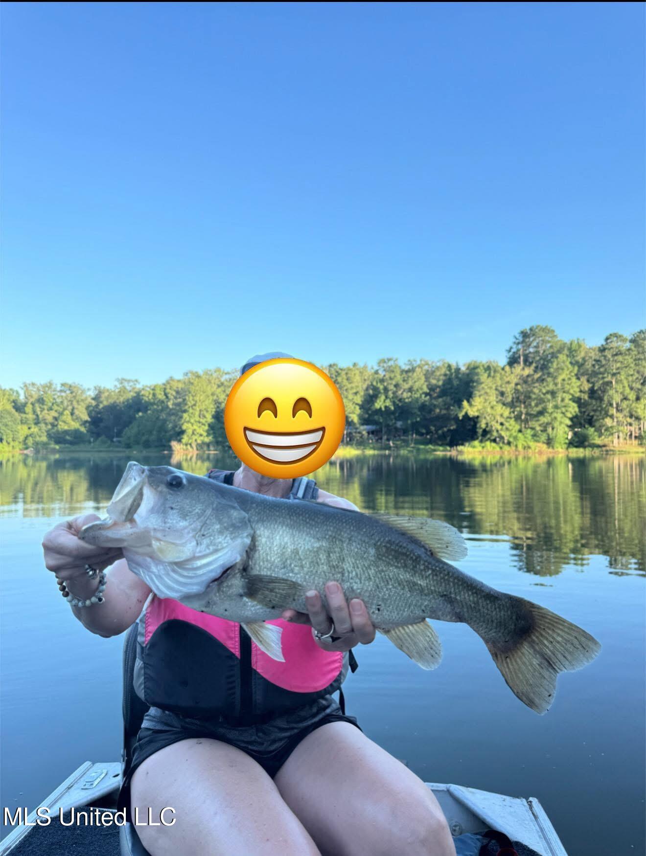 118 Turkey Creek Road Natchez, MS 39120 - Photo 37 of 41 IMG_0336