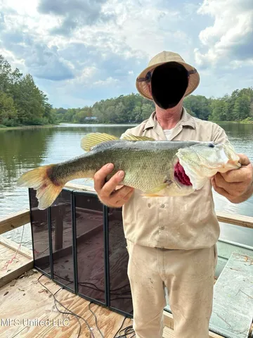 $325,000 | 118 Turkey Creek Road, Natchez, MS 39120