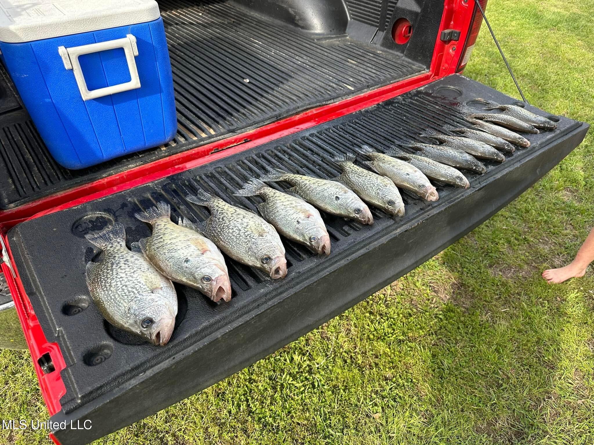 118 Turkey Creek Road Natchez, MS 39120 - Photo 39 of 41 IMG_0446 (1)