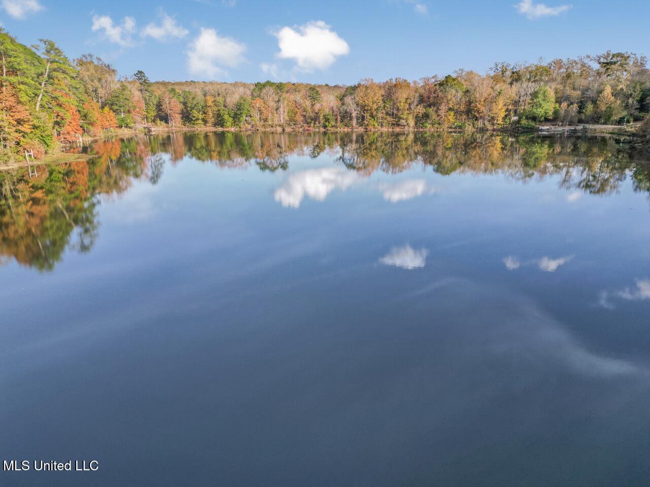 118 Turkey Creek Road Natchez, MS 39120 - Photo 5 of 41 DJI_0011 Large