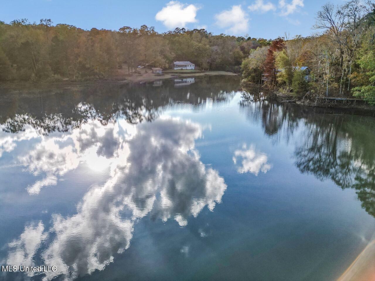 118 Turkey Creek Road Natchez, MS 39120 - Photo 6 of 41 DJI_0012 Large