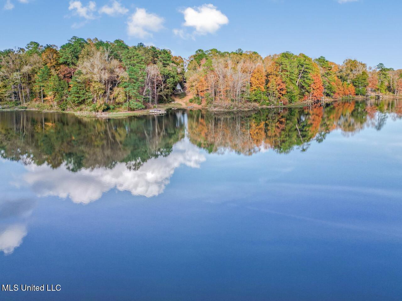 118 Turkey Creek Road Natchez, MS 39120 - Photo 8 of 41 DJI_0014 Large