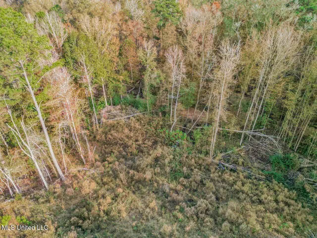 $325,000 | 118 Turkey Creek Road, Natchez, MS 39120