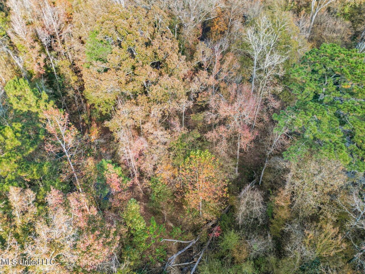 118 Turkey Creek Road Natchez, MS 39120 - Photo 10 of 41 DJI_0016 Large