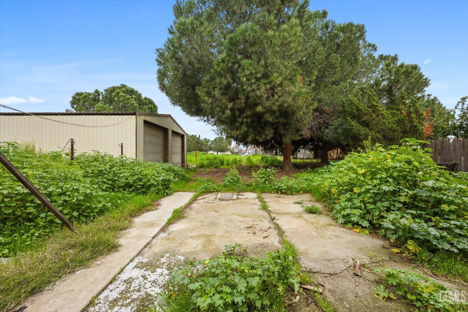 Undisclosed Address Bakersfield, CA 93308 - Photo 28 of 50 a view of a yard with plants and large trees