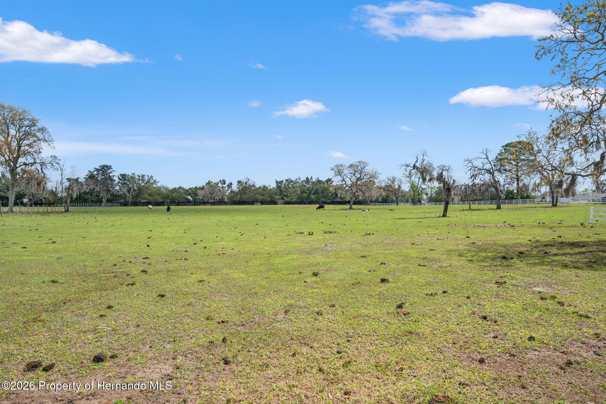 0 Gloucester Road Spring Hill, FL 34604 - Photo 17 of 47