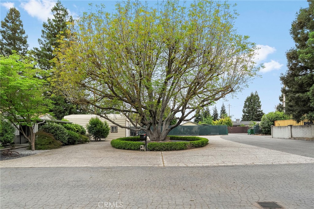 30 Rash Lane Chico, CA 95973 - Photo 8 of 60