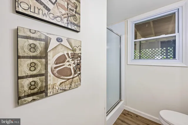 a bathroom with a toilet and a window