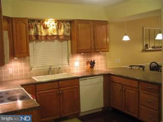 1159 Pawlings Road Audubon, PA 19403 - Photo 5 of 6 Gallery Image 5