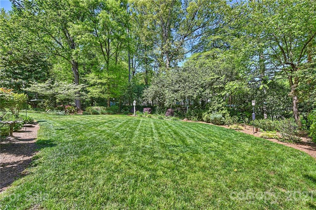 6119 Glenridge Road Charlotte, NC 28211 - Photo 34 of 41 a view of yard with green space