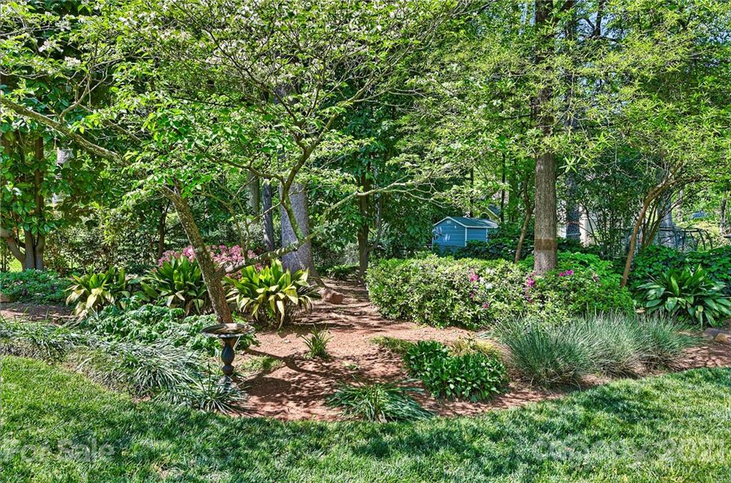 6119 Glenridge Road Charlotte, NC 28211 - Photo 35 of 41 a view of outdoor space and a yard
