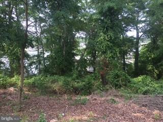 3900 Calawasse Road Edgewater, MD 21037 - Photo 16 of 24 Lot