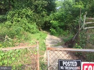 3900 Calawasse Road Edgewater, MD 21037 - Photo 18 of 24 Path to Water