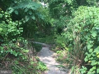 3900 Calawasse Road Edgewater, MD 21037 - Photo 19 of 24 Path to Water