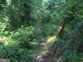 3900 Calawasse Road Edgewater, MD 21037 - Photo 21 of 24 Path to Water