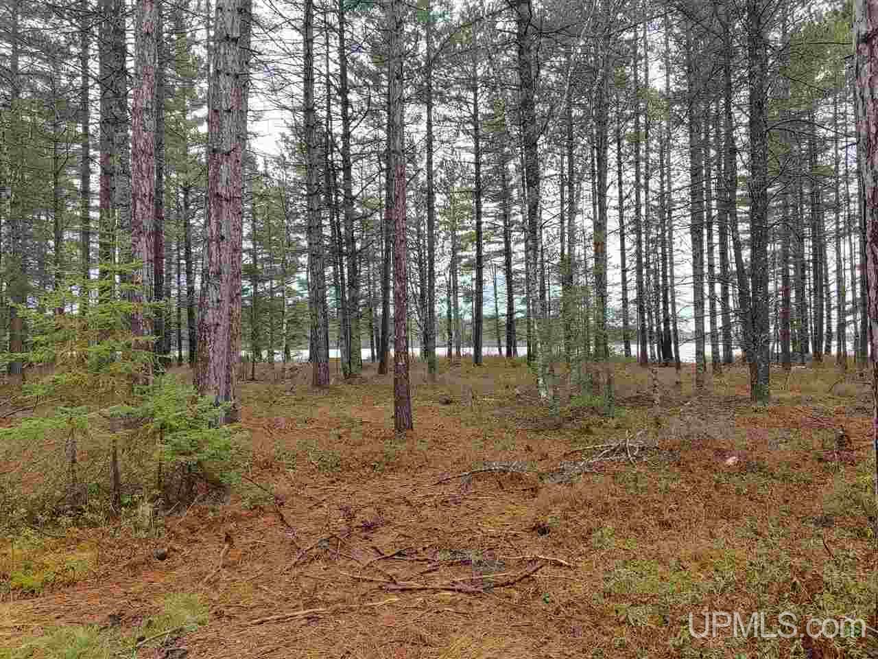 Lot 12 Rice Landing Rd Lake Lake Linden, MI 49945 - Photo 11 of 43