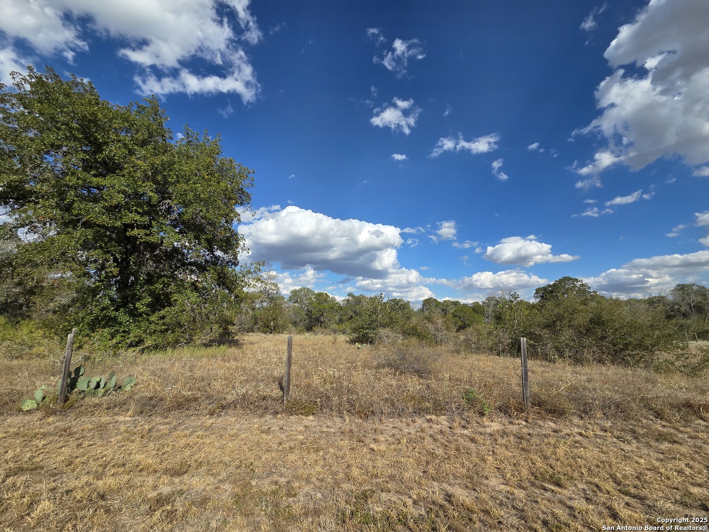 1830 Clear Lake Loop Poteet, TX 78065 - Photo 12 of 30 a view of a yard