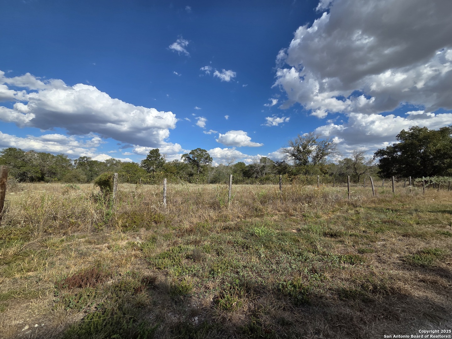 1830 Clear Lake Loop Poteet, TX 78065 - Photo 13 of 30 a view of lake with lots of palm trees