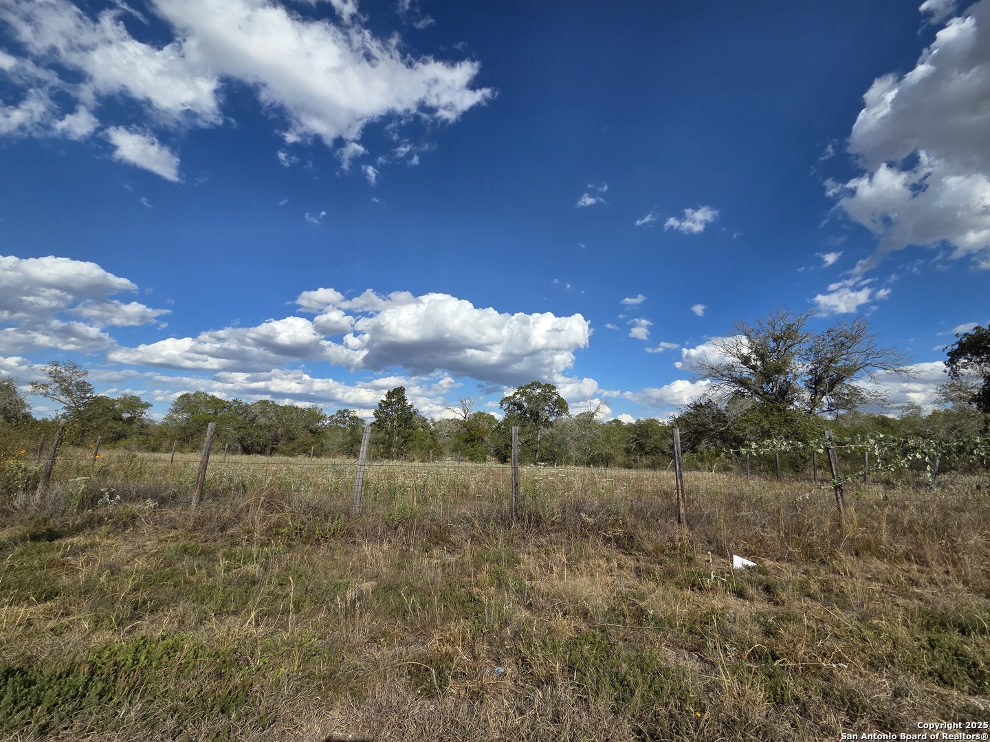 1830 Clear Lake Loop Poteet, TX 78065 - Photo 14 of 30 a view of a big yard