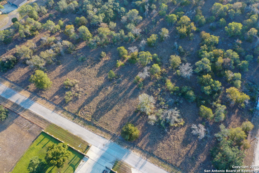 1830 Clear Lake Loop Poteet, TX 78065 - Photo 29 of 30 a view of a tree
