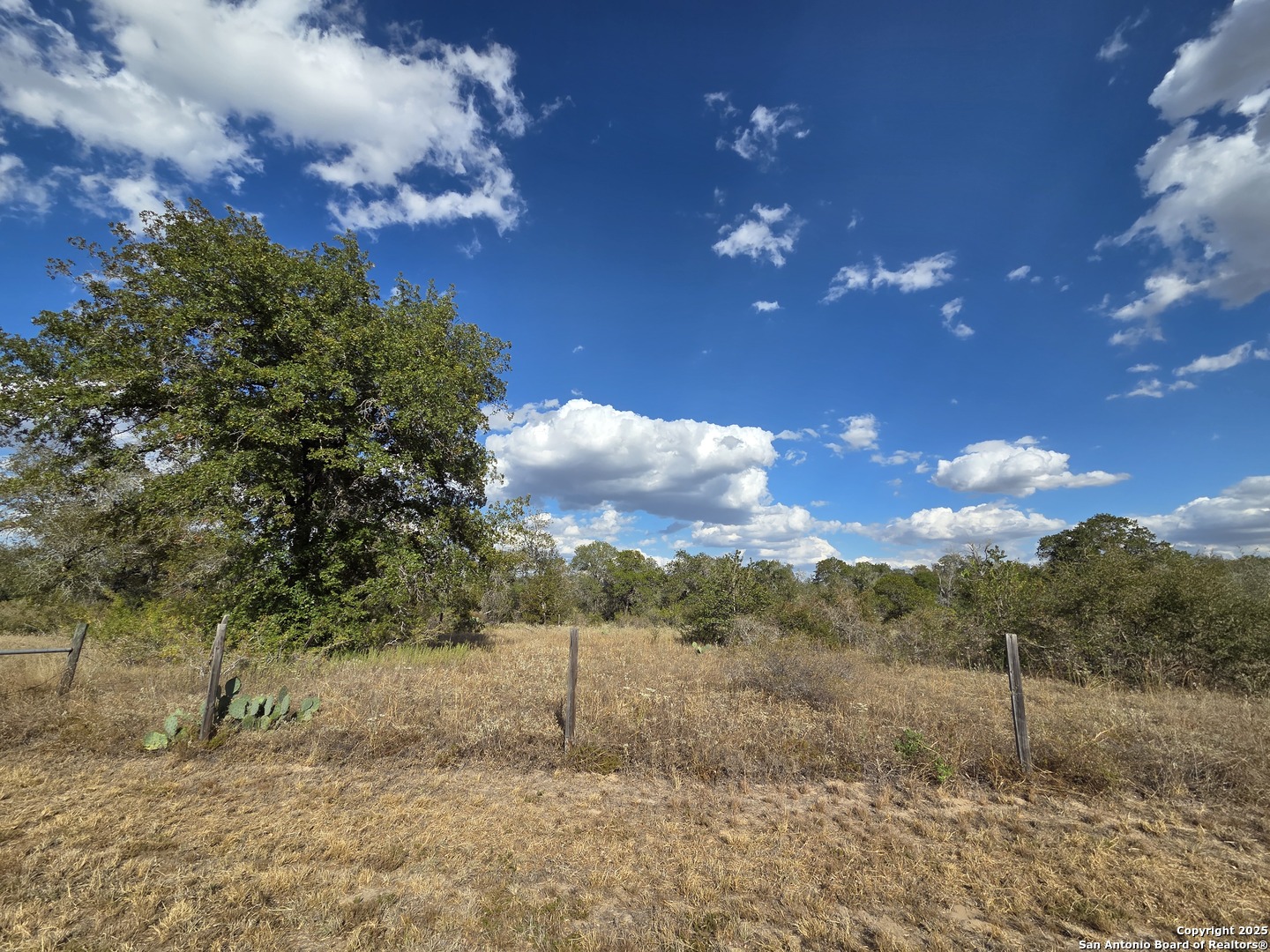 1830 Clear Lake Loop Poteet, TX 78065 - Photo 3 of 30 a view of a yard