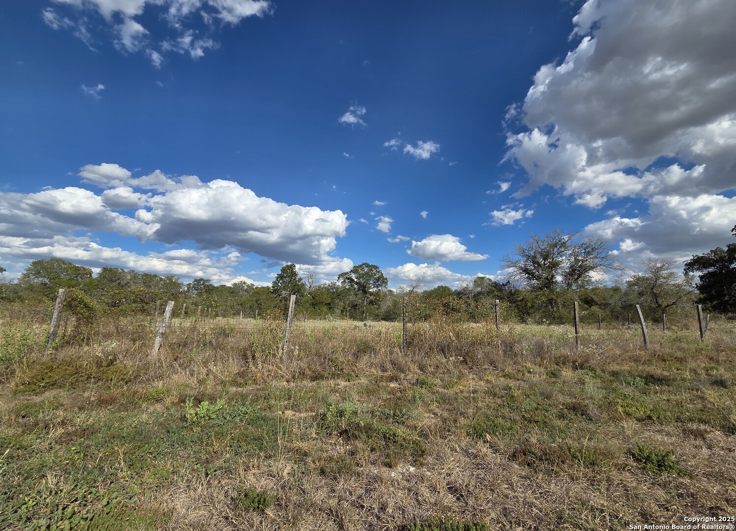 1830 Clear Lake Loop Poteet, TX 78065 - Photo 6 of 30 a view of a yard with an outdoor space
