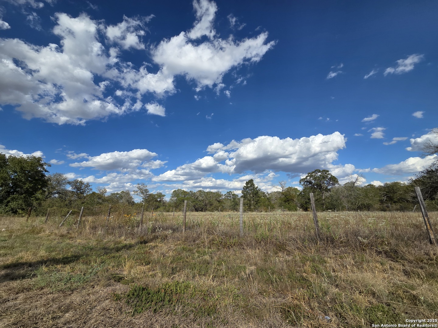 1830 Clear Lake Loop Poteet, TX 78065 - Photo 7 of 30