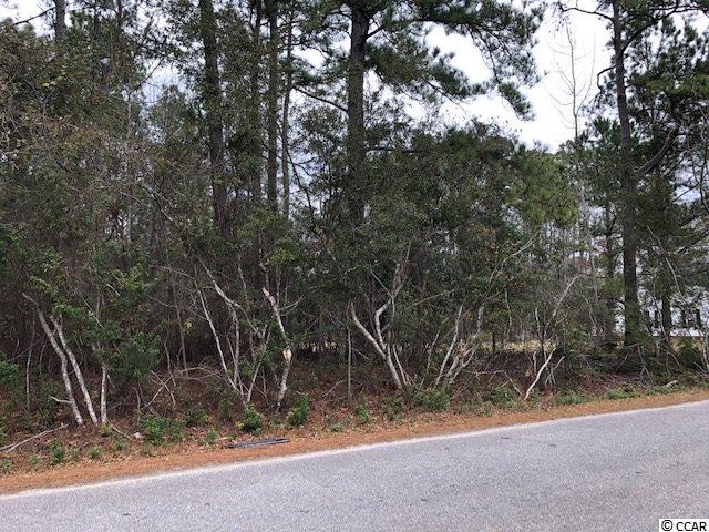 Lot 36 George Washington Trail Georgetown, SC 29440 - Photo 1 of 5 Gallery Image 1