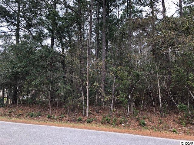 Lot 36 George Washington Trail Georgetown, SC 29440 - Photo 3 of 5 Gallery Image 3