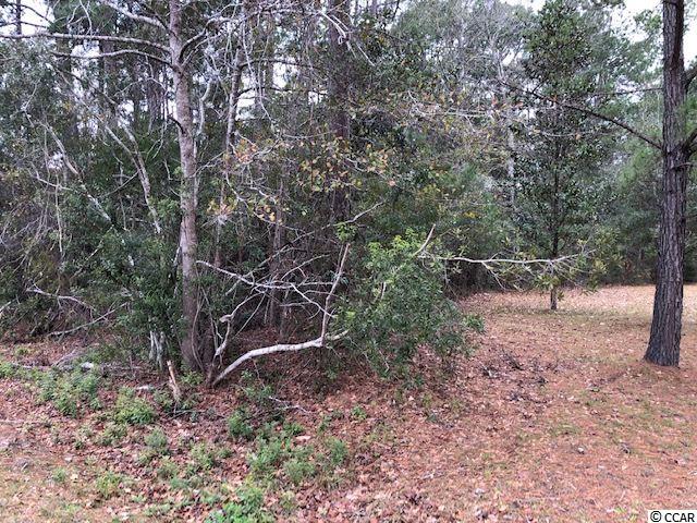 Lot 36 George Washington Trail Georgetown, SC 29440 - Photo 4 of 5 Gallery Image 4
