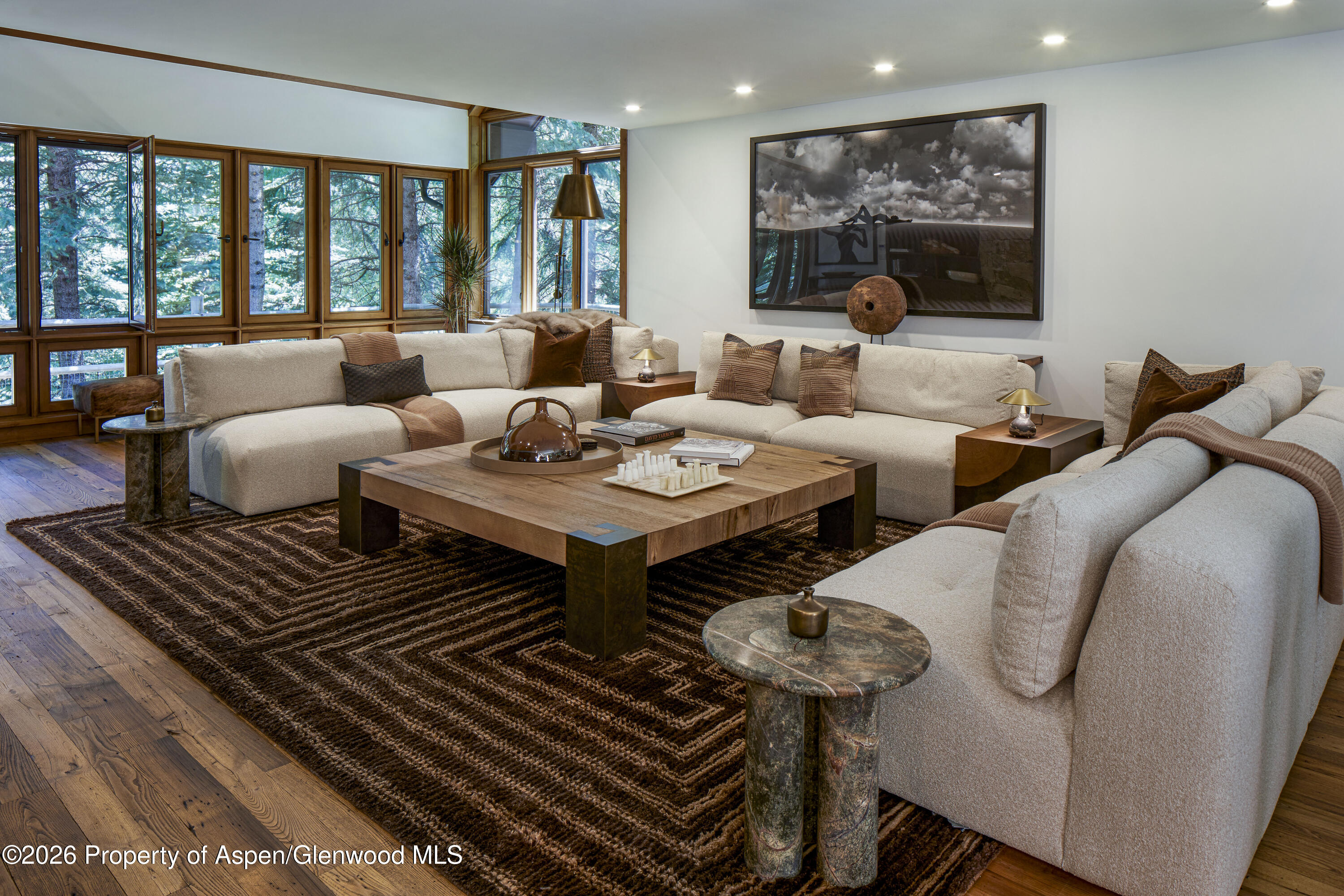 970 Powder Lane Aspen, CO 81611 - Photo 12 of 18 Living Room 2