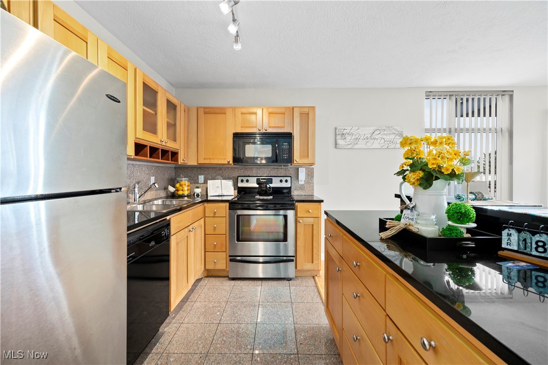2222 Detroit Avenue, Unit 519 Cleveland, OH 44113 - Photo 10 of 30 Kitchen featuring black granite countertops, backsplash, granite finish floor, stainless and black appliances, and a deep sink