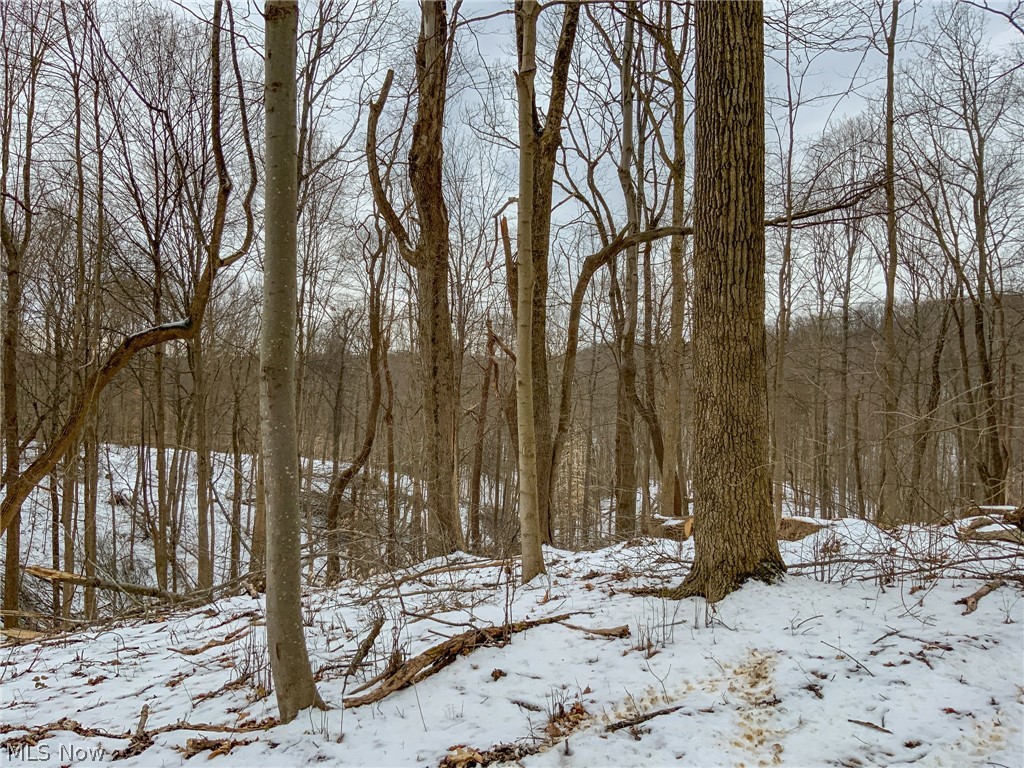 0 Lookout Road Lancaster, OH 43130 - Photo 11 of 35
