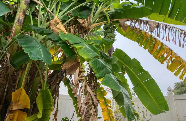 $749,900 | 44 Ridgecroft Lane, Safety Harbor, FL 34695