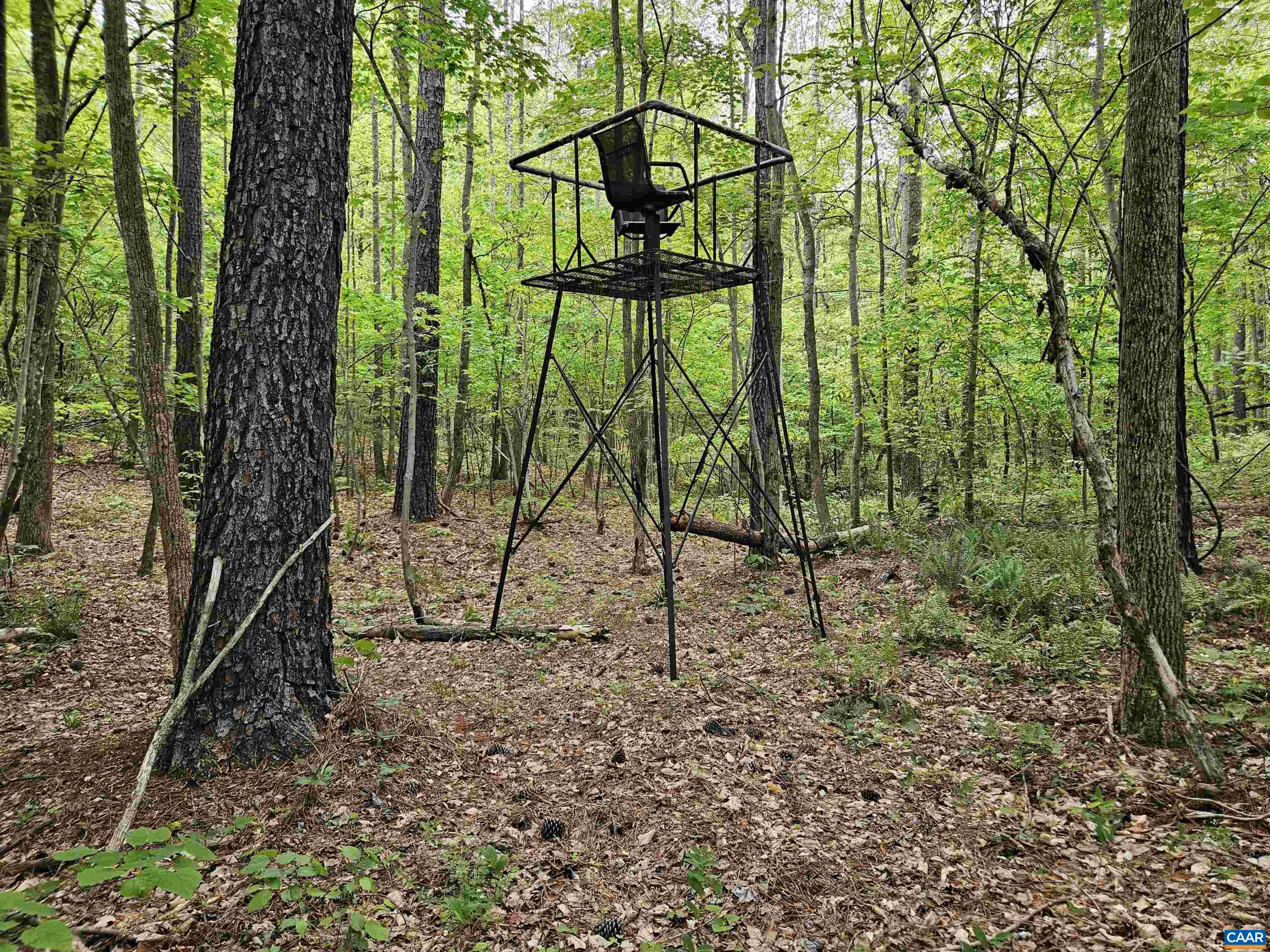 981 Scotts Bottom Road Dillwyn, VA 23936 - Photo 49 of 62 a view of outdoor space