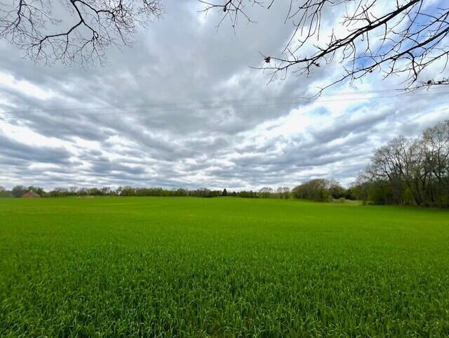 0 Gramer Road Webberville, MI 48892 - Photo 2 of 9 Ocimeae Lavendar Farm 4