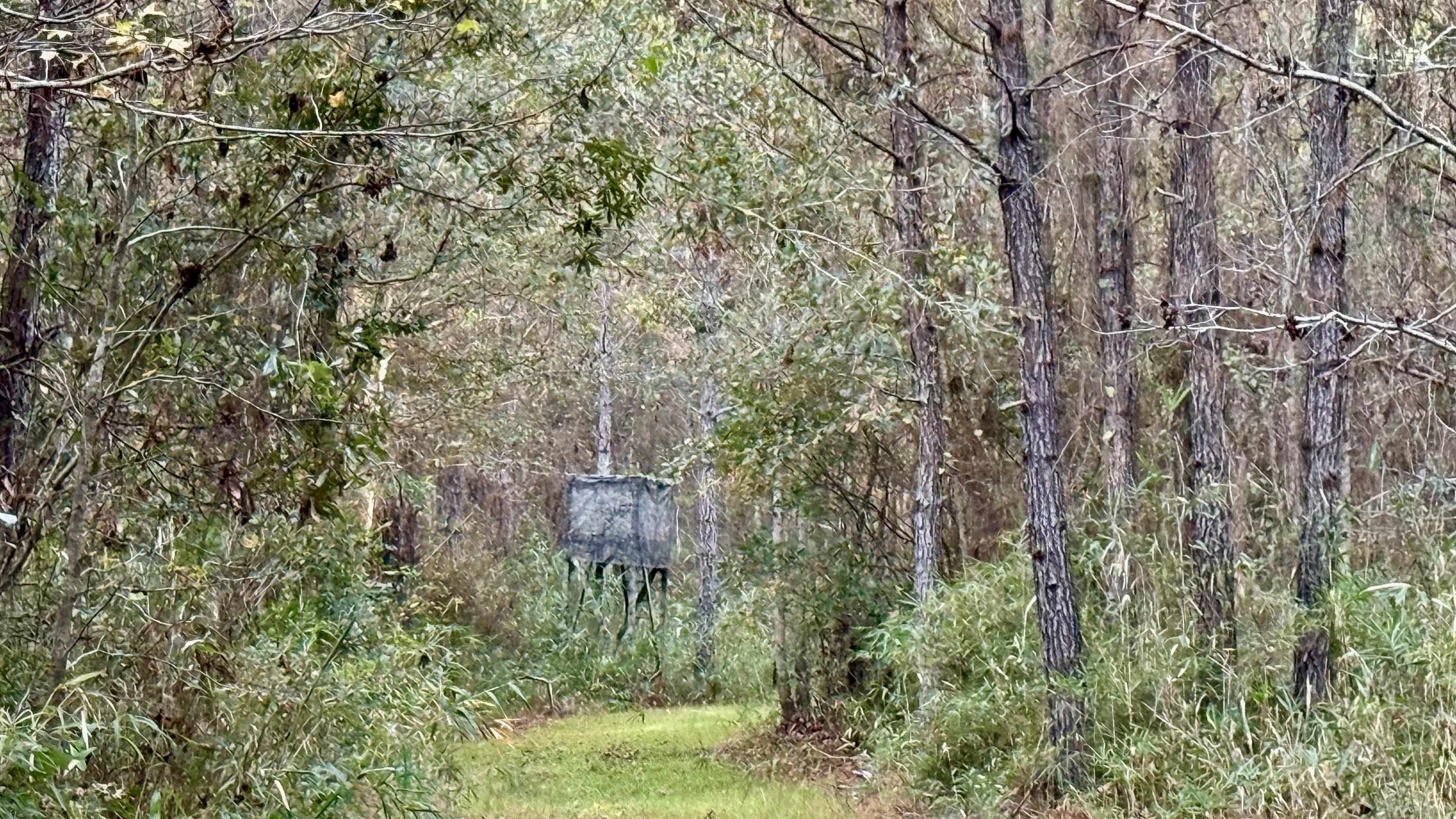 2909 Shellman Bluff Road Northeast, Unit 2909 SHELLMAN BLUFF RD N Townsend, GA 31331 - Photo 36 of 50